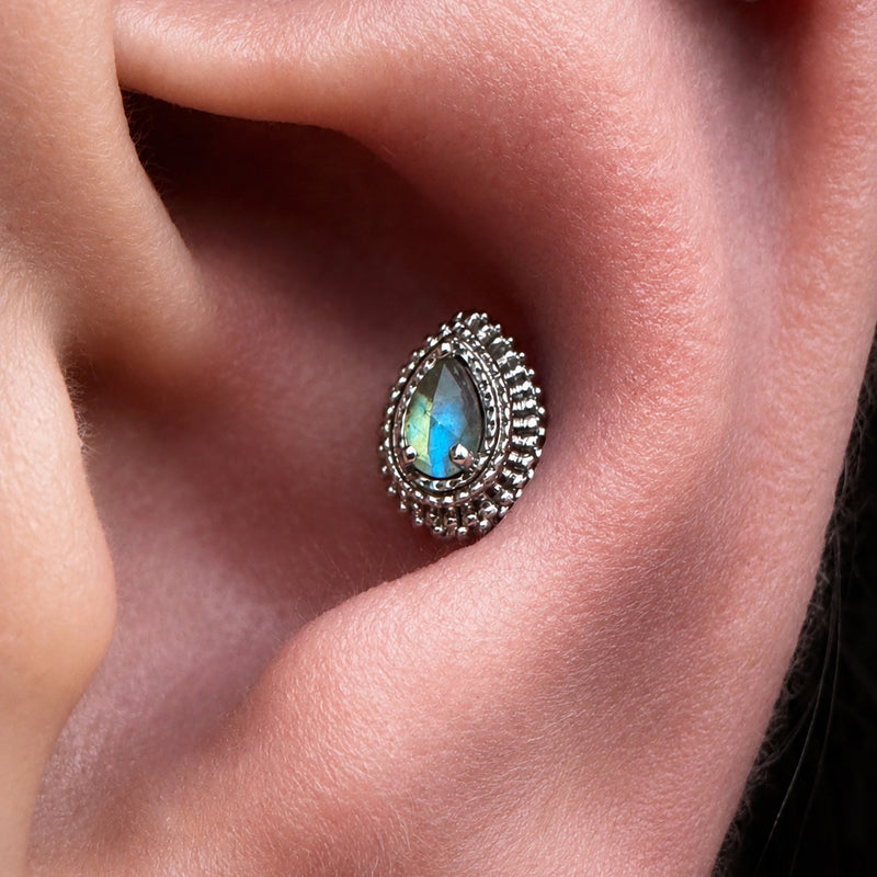 Conch