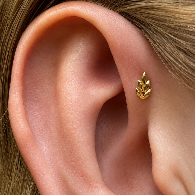 Forward Helix