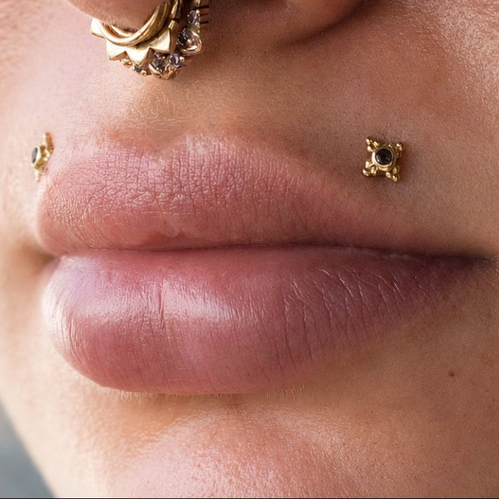 Monroe (Upper Lip)