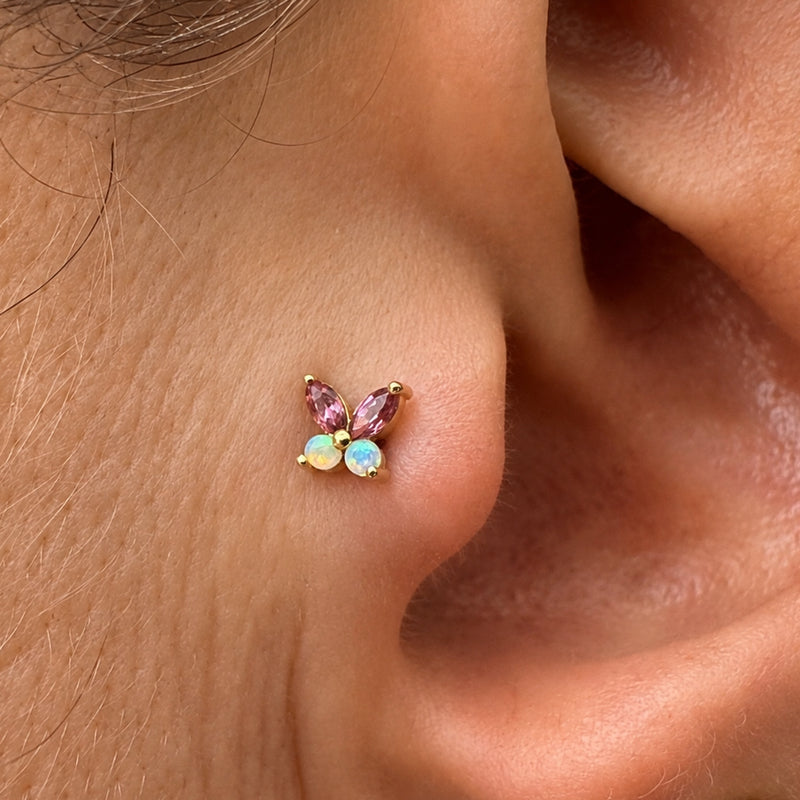 Tragus